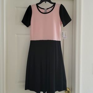 LuLaRoe Black and Pink, Amelia, Size Medium Dress